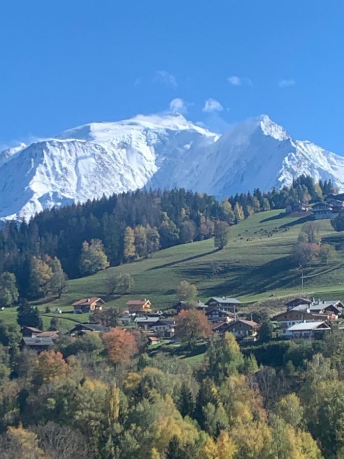 Chalet Mont Blanc Combloux Kültér fotó